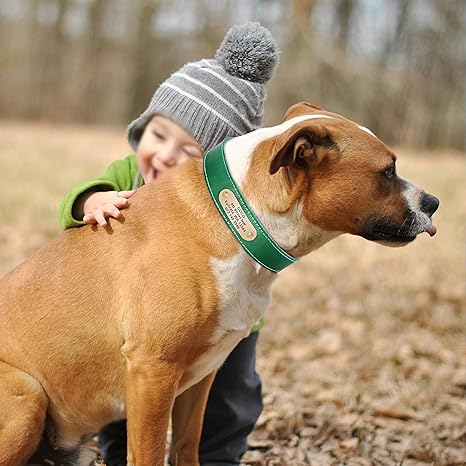 Personalized Dog Collar™