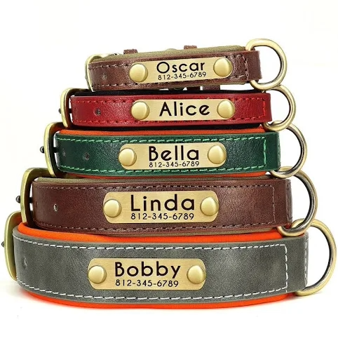 3x Personalized Dog Collar