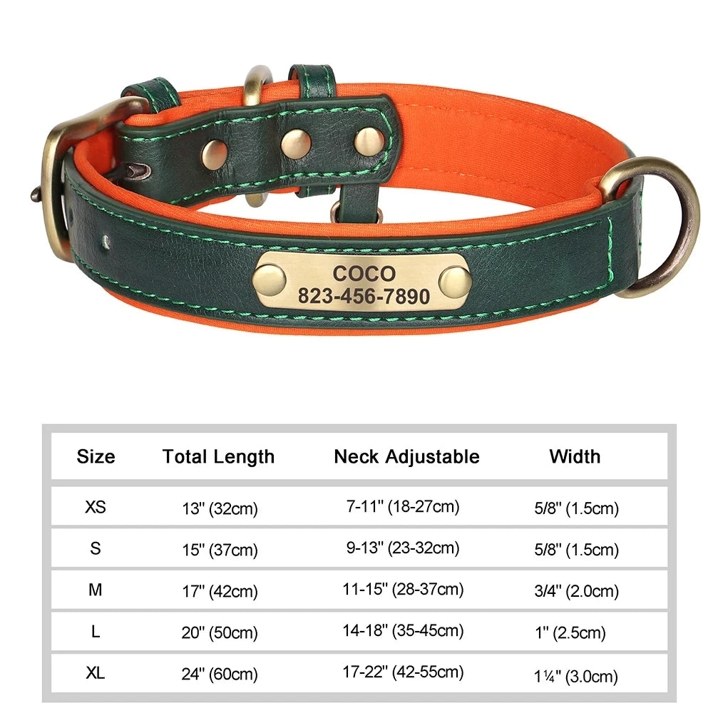 Personalized Dog Collar™