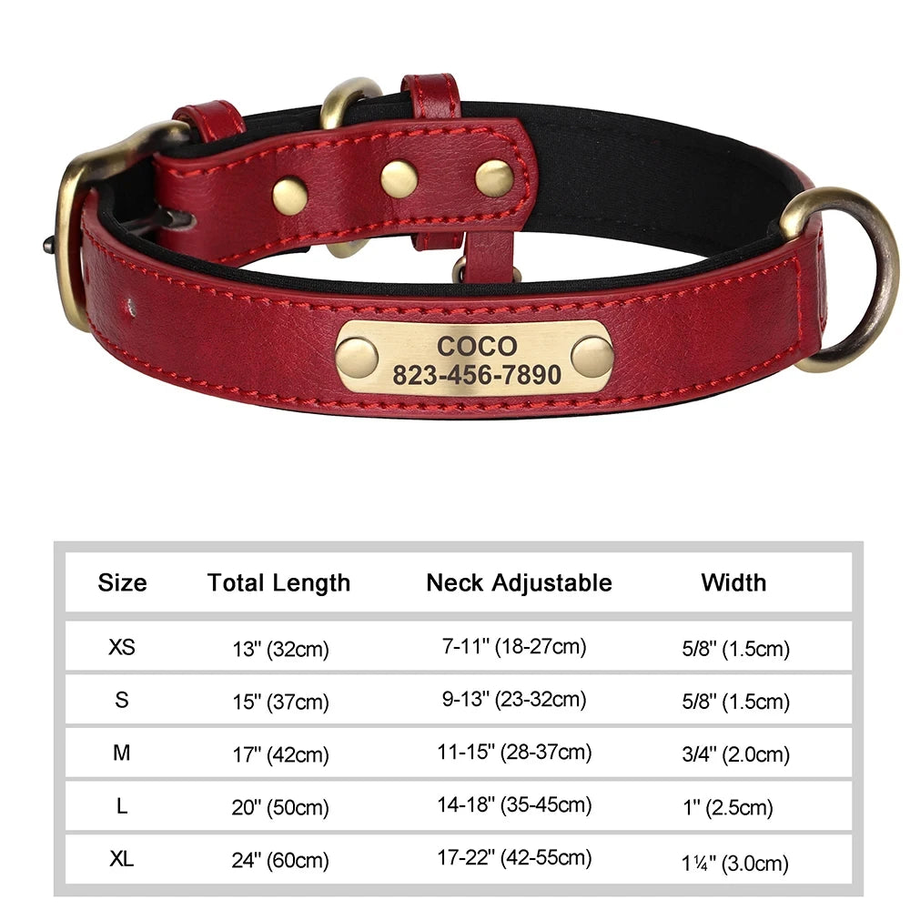 Personalized Dog Collar™
