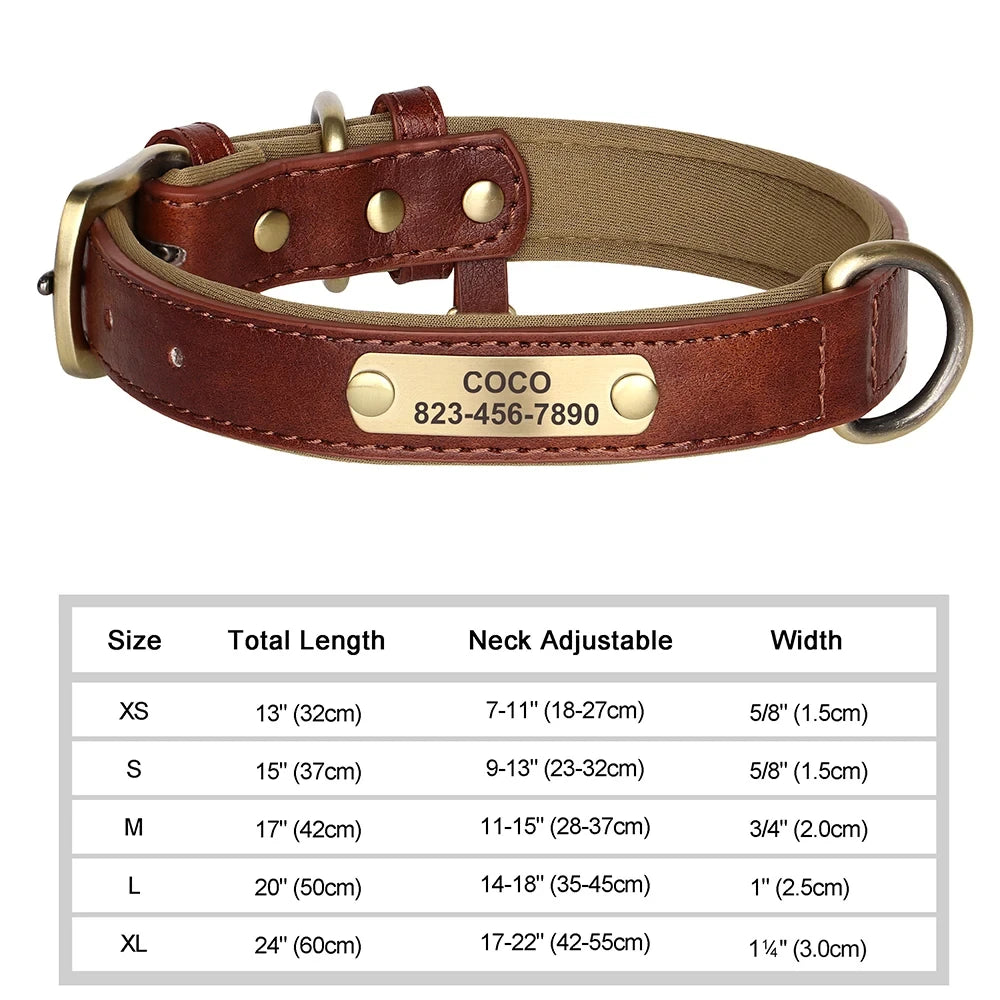 Personalized Dog Collar™