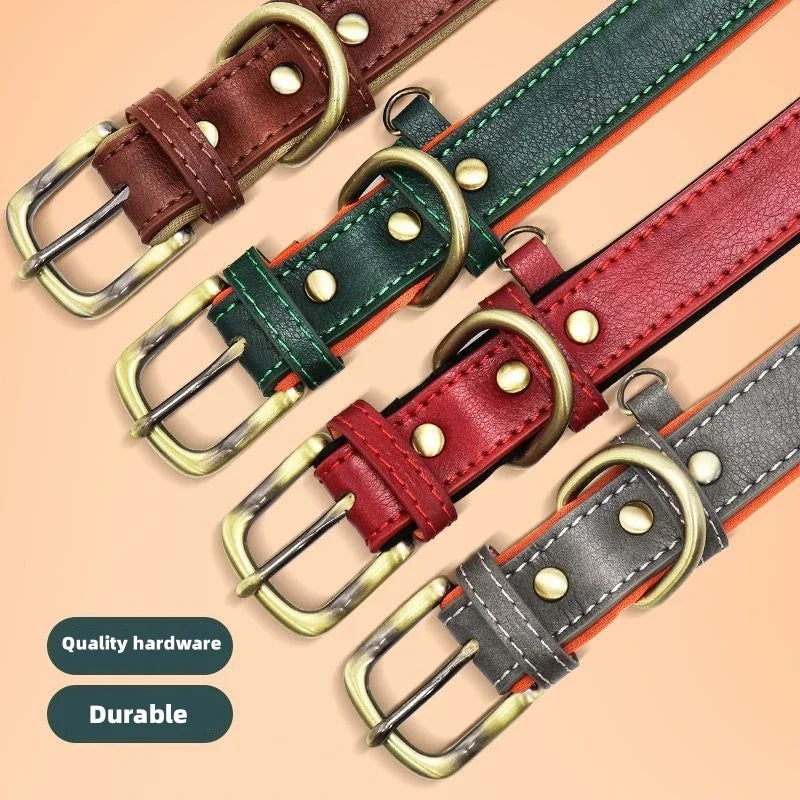Personalized Dog Collar™