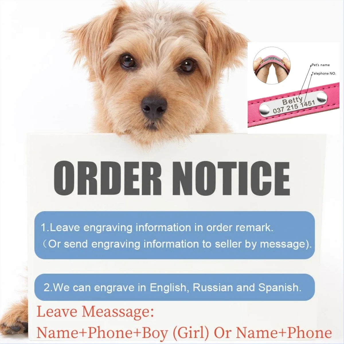 Personalized Dog Collar™