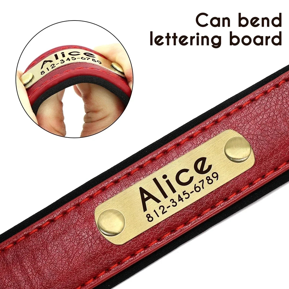 Personalized Dog Collar™