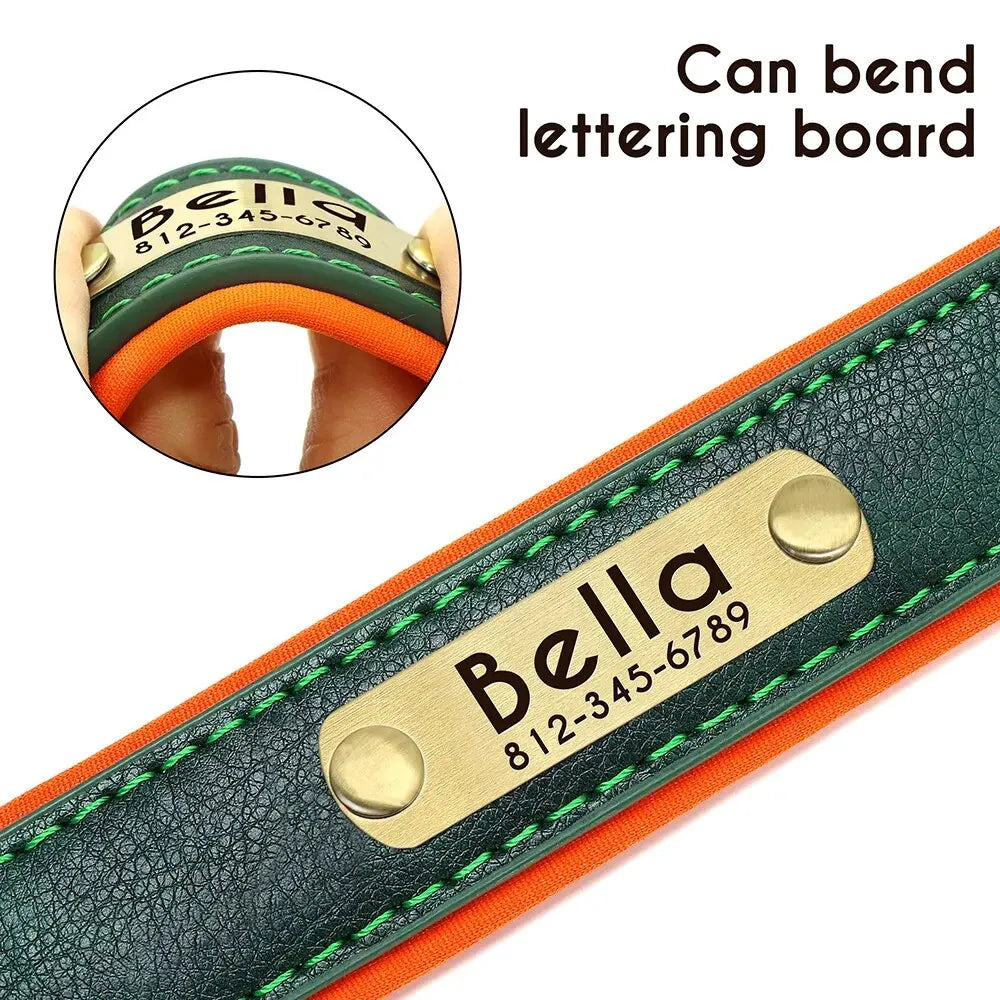 Personalized Dog Collar™