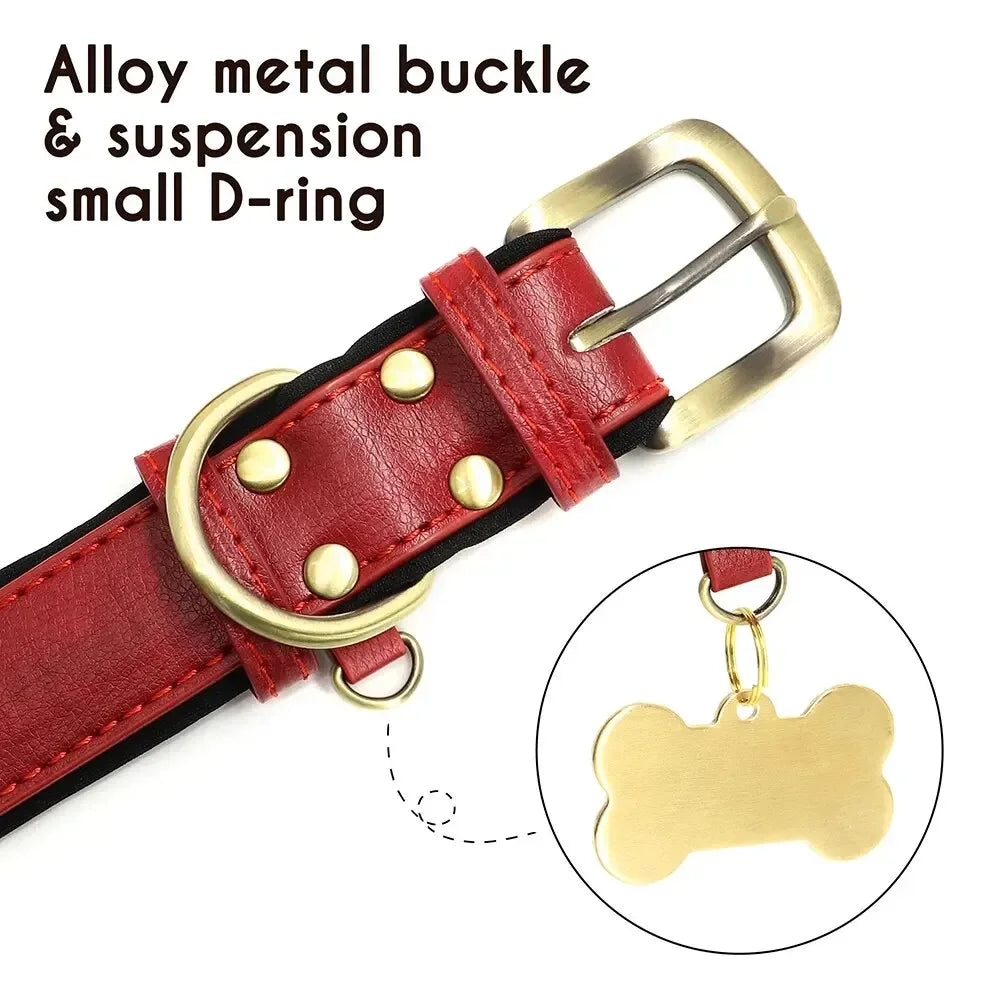 Personalized Dog Collar™
