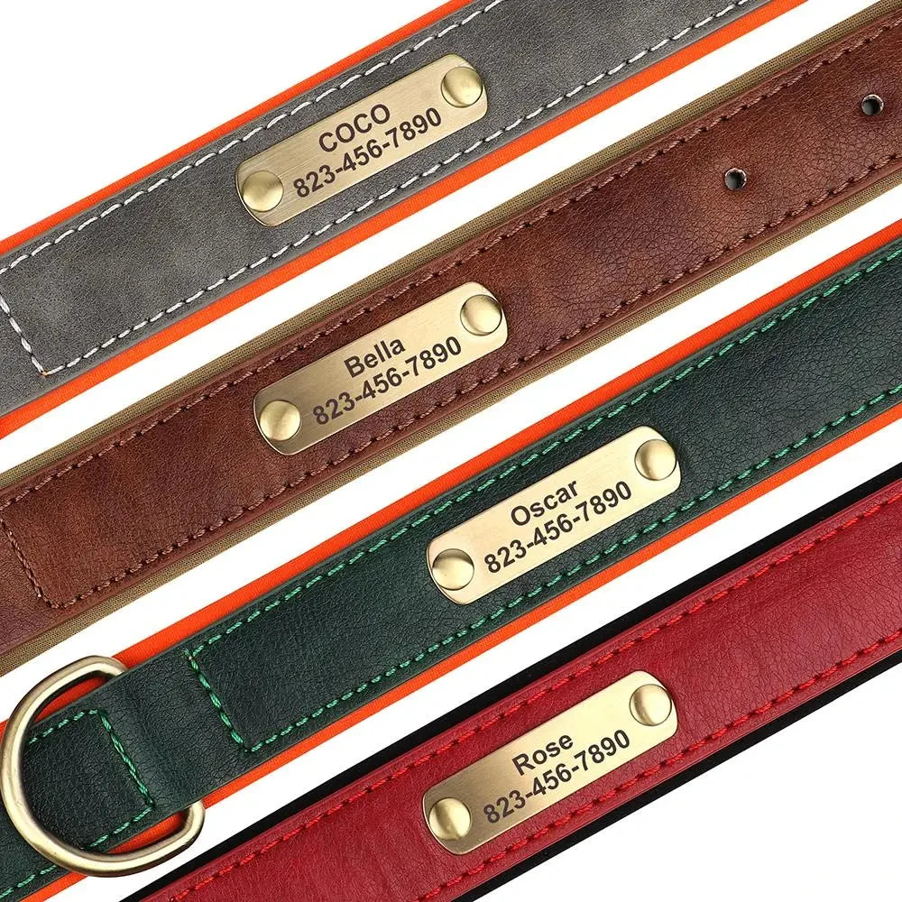 Personalized Dog Collar™