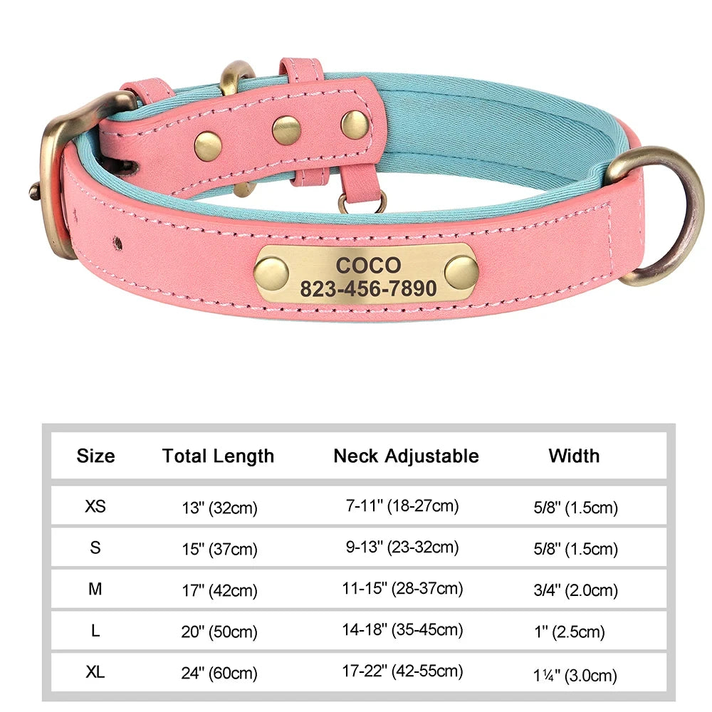 Personalized Dog Collar™